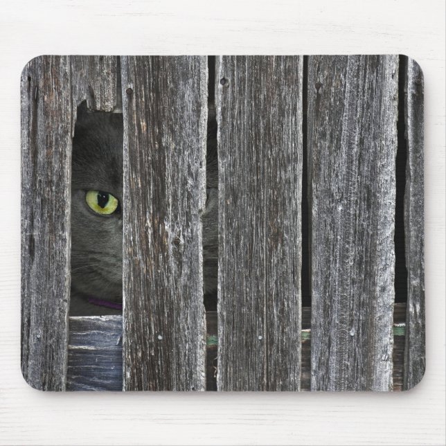 Peepin Tom Mouse Pad (Front)