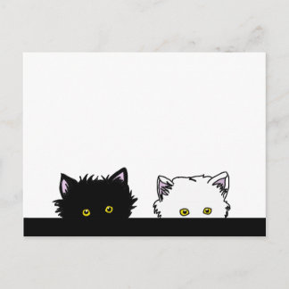 Peeping Kittens Postcard
