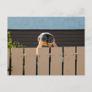 Peeping  Neighbour Postcard