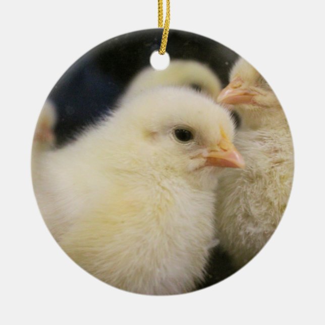 Peeps Ceramic Ornament (Front)