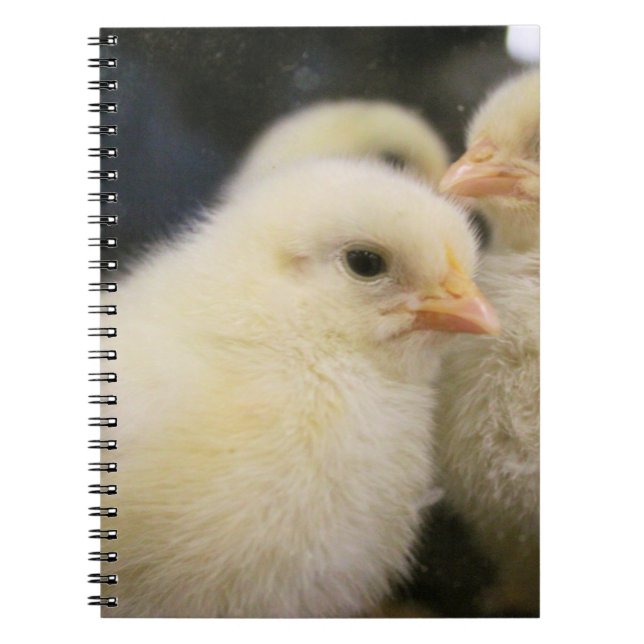 Peeps   notebook (Front)