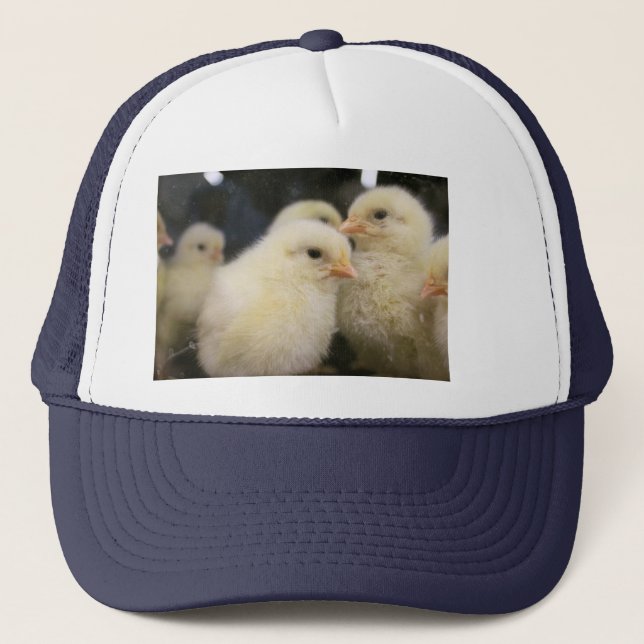 Peeps  trucker hat (Front)