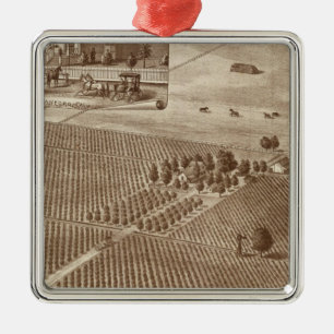 Peerless Vineyard, Hanford, Cal Metal Ornament