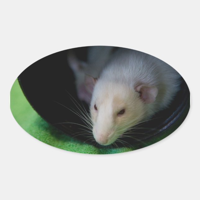 PEEWEE OVAL STICKER (Front)