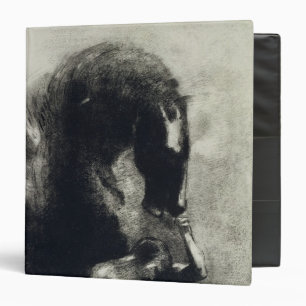 Pegasus Binder