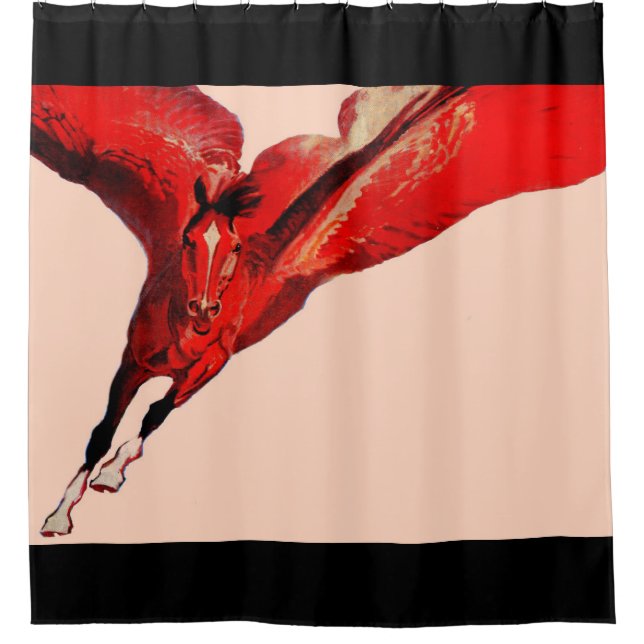 Pegasus the flying horse print (Front)