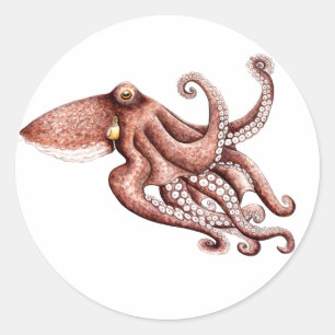 Pegatin Octopus vulgaris Classic Round Sticker