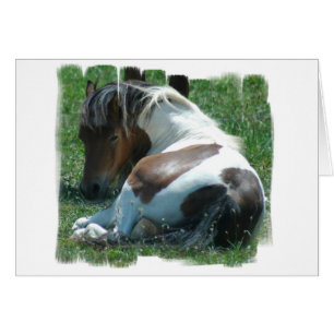 Peignez la carte de repos de poney
