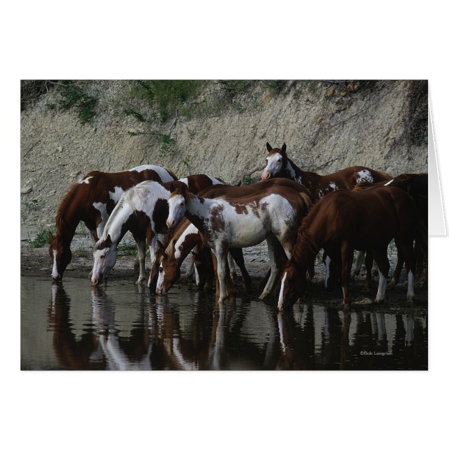 Peignez le boire de chevaux (Devant horizontal)