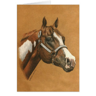 Peignez le cheval