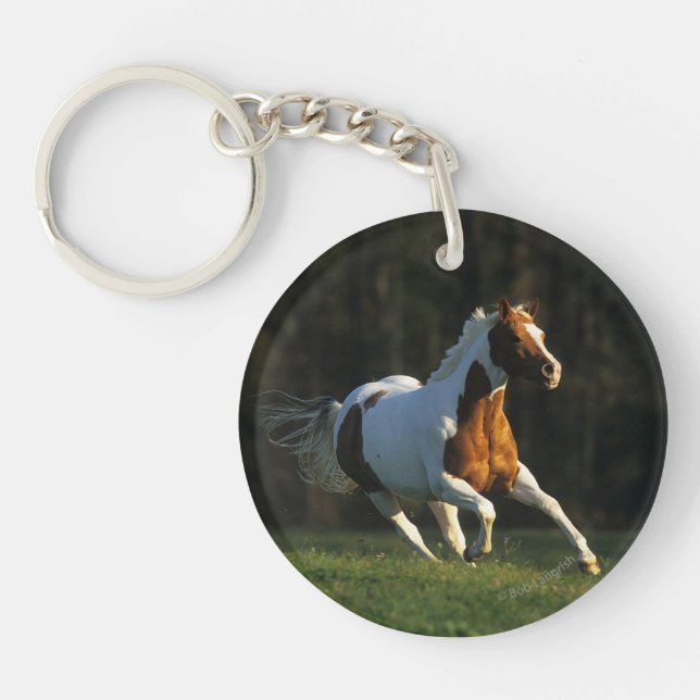 Peignez le cheval fonctionnant rapidement (Devant)