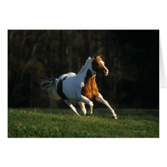 Peignez le cheval fonctionnant rapidement (Devant horizontal)