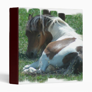 Peignez le classeur de poney