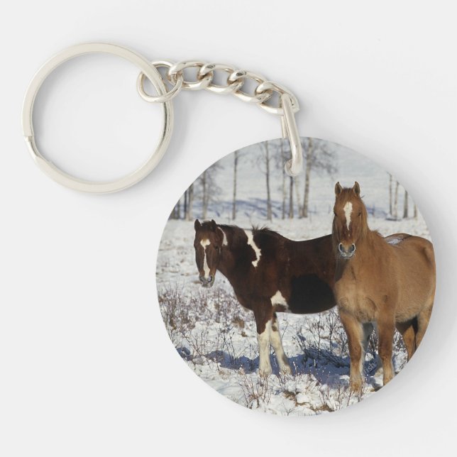 Peignez les chevaux dans la neige (Devant)
