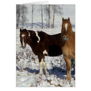 Peignez les chevaux dans la neige