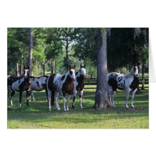 Peignez les chevaux dans les arbres