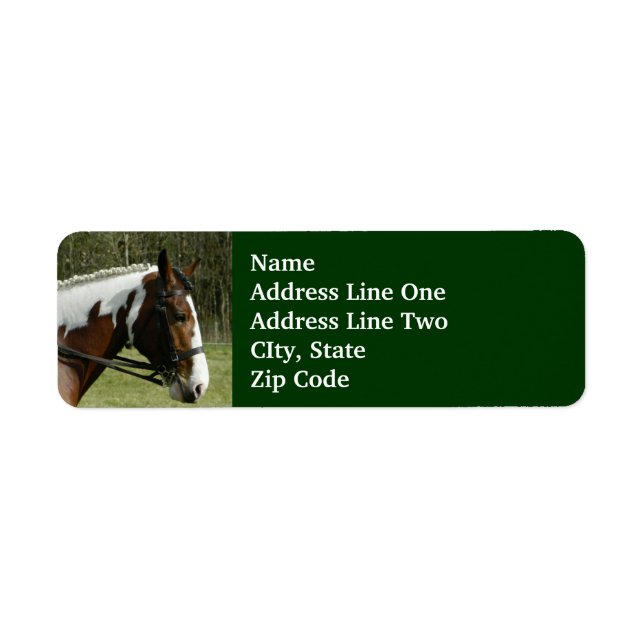 Peindre le profil du cheval, avec Bridle Green Pas (Devant)