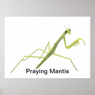 Peindre Mantis Peindre Posters Personnalisés