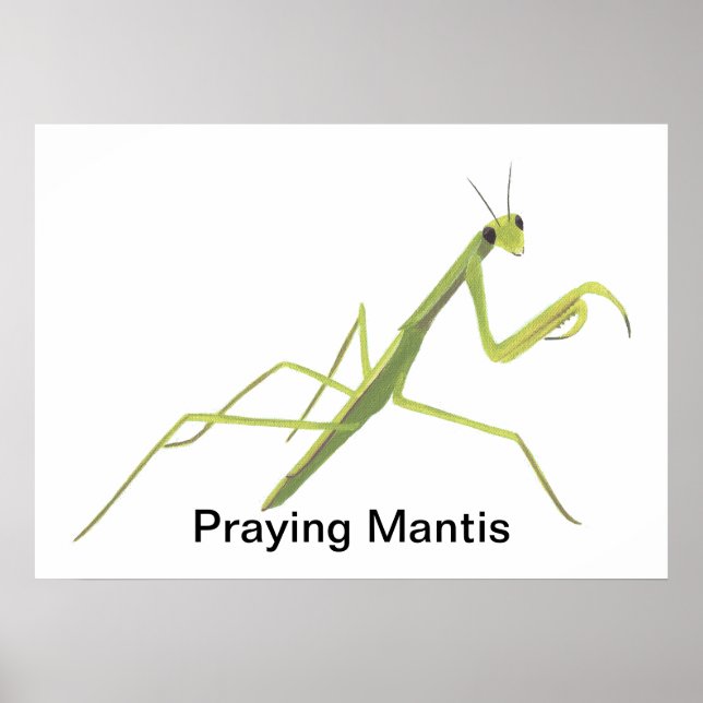 Peindre Mantis Peindre Posters Personnalisés (Devant)