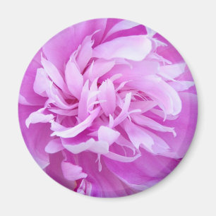 Peine rose - Aimant