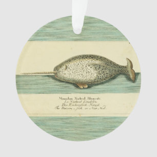 Peinture à l'aquarelle de baleine ancienne Narwhal