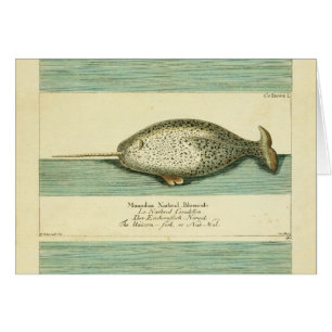 Peinture à l'aquarelle de baleine ancienne Narwhal