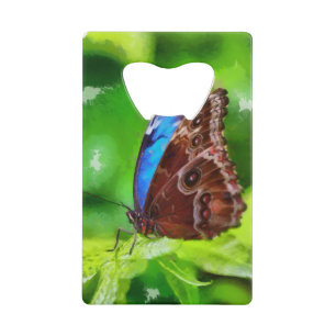 Peinture à papillon