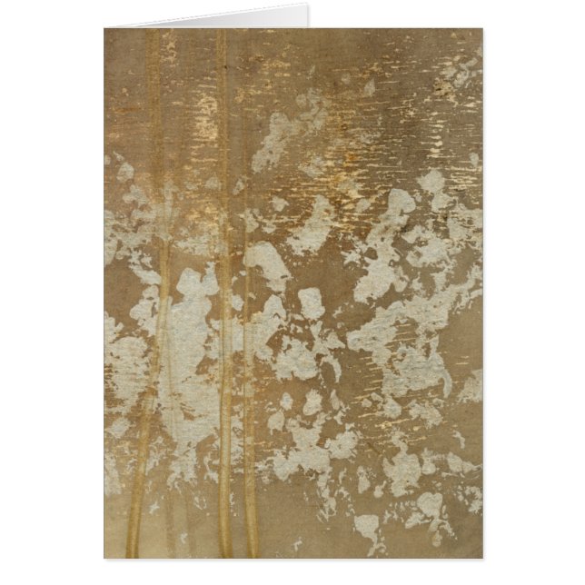 Peinture Abstraite en or avec lunettes d'argent (Devant)
