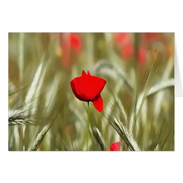 Peinture acrylique Hot Poppy (Devant horizontal)