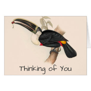 Peinture animalière d'antiquités Toucans