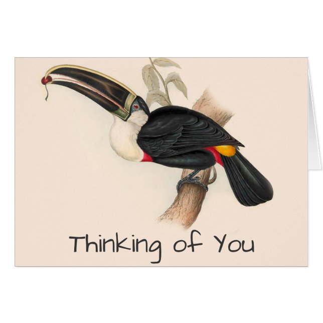 Peinture animalière d'antiquités Toucans (Devant horizontal)