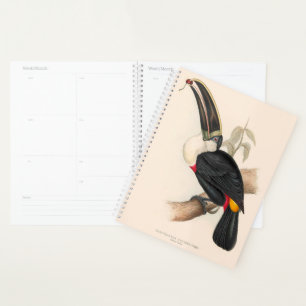 Peinture animalière d'antiquités Toucans