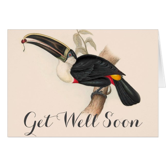 Peinture animalière d'antiquités Toucans (Devant horizontal)