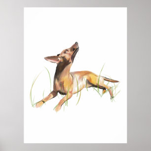 Peinture Aquarelle Pinscher Nain, Décoration Mural