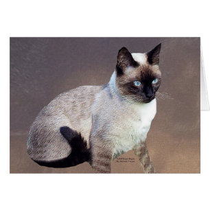 Peinture de chat siamois