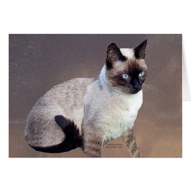 Peinture de chats siamois (Devant horizontal)