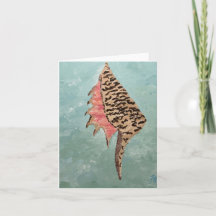 Peinture de coquille côtière