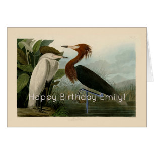 Peinture de la faune d'Audubon Heron violet