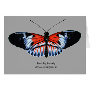 Peinture de papillon à clé de piano en noir, rouge