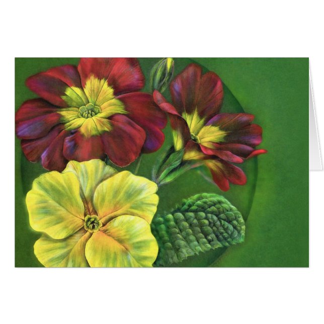 Peinture de printemps Primula primrose (Devant horizontal)