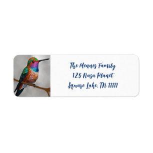 Peinture des colibris de Vibrant Allen