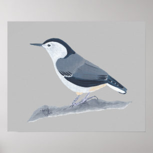 Peinture d'Oiseau Nuthatch sur affiches murales