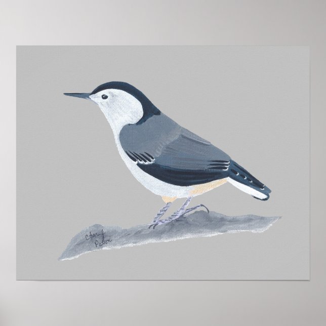 Peinture d'Oiseau Nuthatch sur affiches murales (Devant)