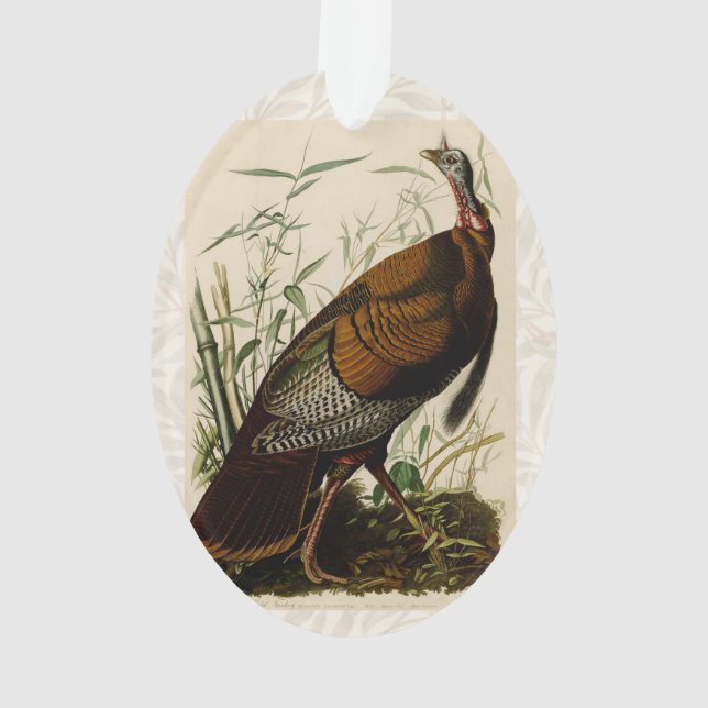 Peinture d'oiseaux sauvages de Turquie Audubon (dos)