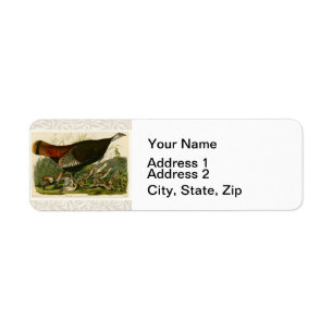Peinture d'oiseaux sauvages de Turquie Audubon