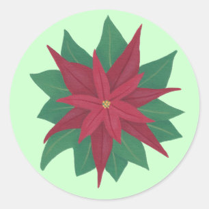 Peinture d'un Stickers de Noël à fleurs de Poinset