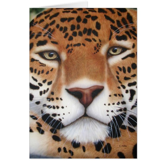 Peinture Jaguar (Devant)