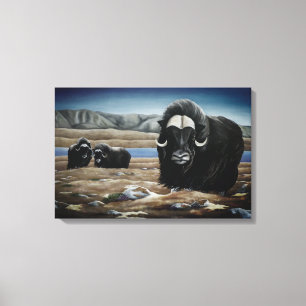 Peinture Muskox toile canadienne de la faune Impri