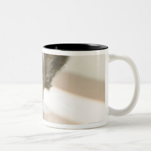 Peki-French Two-Tone Coffee Mug