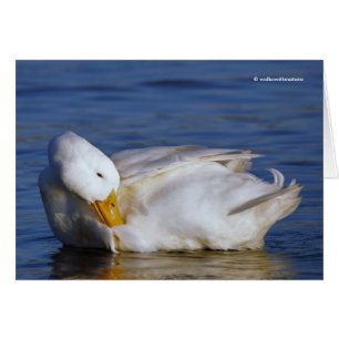 Pékin Canard souriant Mona Lisa sourire au soleil